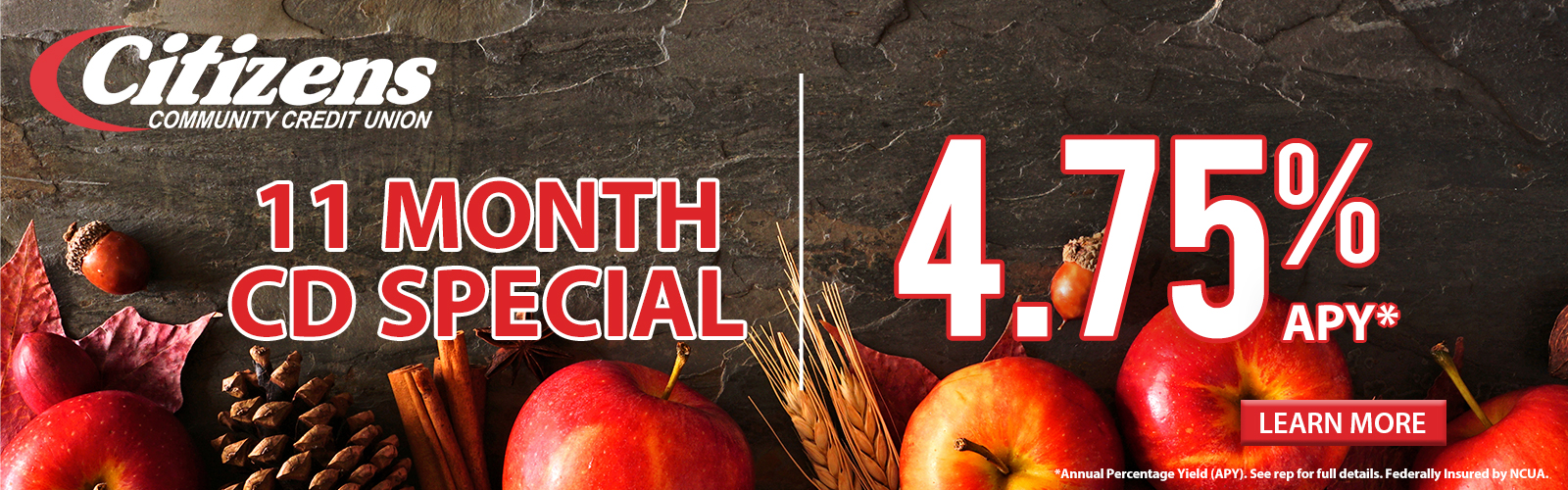 11 Month CD Special - 4.75% APY*. Click here for more information!