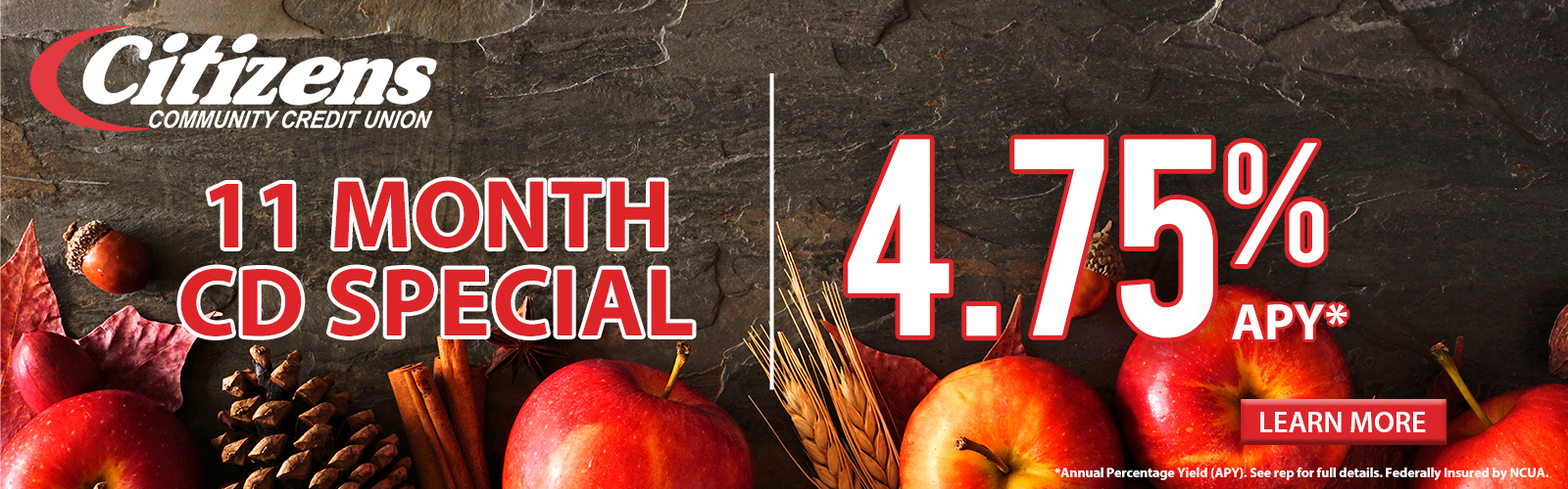 11 Month CD Special - 4.75% APY*. Click here for more information!